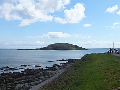 Looe Island